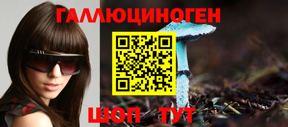 Лабинск  Псилоцибиновые грибы Cubensis  Псилоцибиновые грибы Cubensis  Вход с VPN 